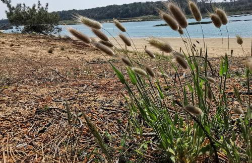 L'Essentiel - Love 5 Etoiles - Foto 41