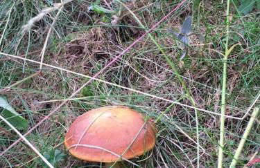 Appart très ensoleillé 5-6 pers au pied des pistes - Foto 28