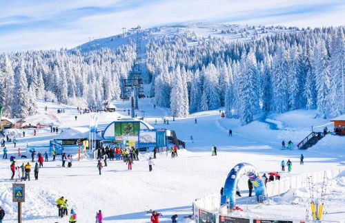 Forest View Apartments in Winterberg Sauerland - Private Garden Facing the Woods - Foto 2
