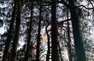 North Lodge Kilmun - Foto 65