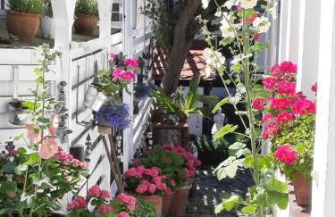 Haus Alexandrine - Foto 17