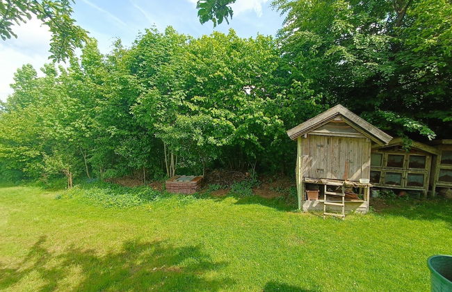 Schone Wohnung im Bayerischen Wald - Photo 59