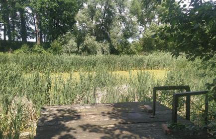 Relaks w boberkach Prywatna sala do Bilarda - Foto 58