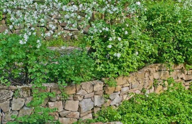 Villa Marie- Self-Catering - Foto 40