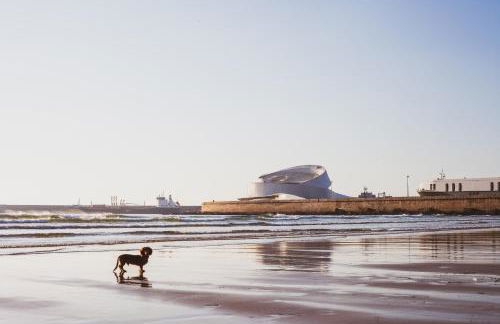 OceanSide Matosinhos - EcoHost - Foto 29