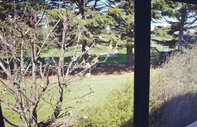 Bush Inn Court Motel - Foto 37