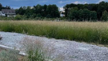 FERIENHAUS in der Natur - Foto 3