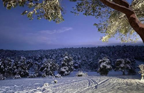 Το σπίτι στο δάσος - Foto 18