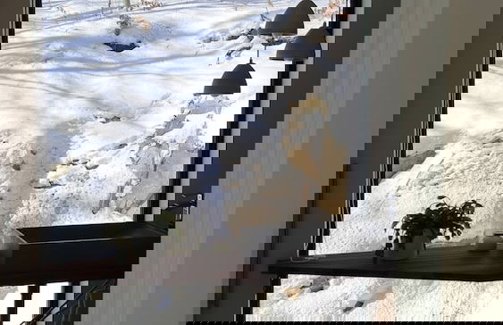 Magnifique Chalet En Montagne Citq 306918 - Foto 11