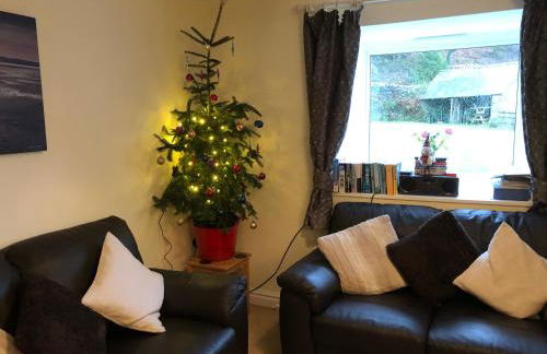 Bryn Melyn Farm Cottages - Foto 39