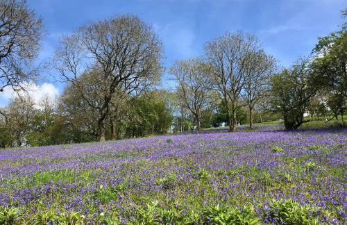 Myrtleberry Studio BnB - Foto 36