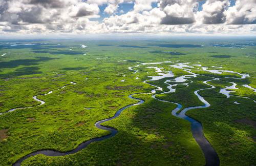 Serene Tiny House Retreat in Japanese Garden - Foto 65