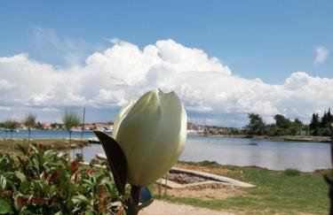 Rustic Holiday Home Miketa - Foto 73