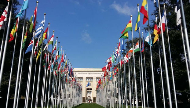 Panoramic Tour of Geneva + Sightseeing Train - Foto 3