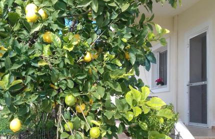 Room near the Airport - Foto 35