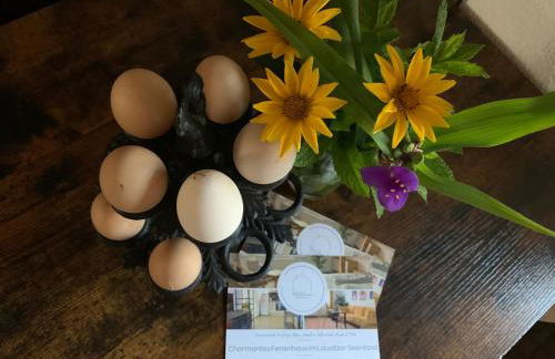 Willma Ferienhaus - Foto 17