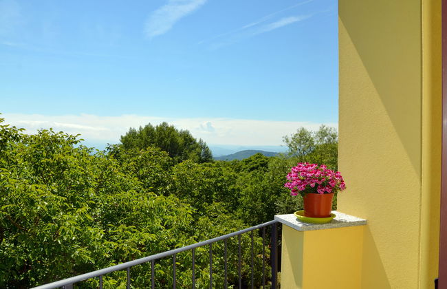 Noce (SBO103) - Foto 17