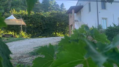 Tra borghi e mare - Ripatransone - Foto 4