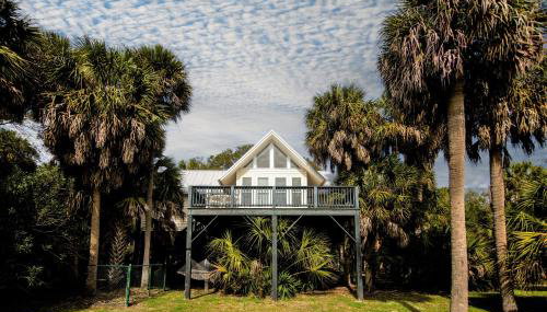 Green Parrot - Photo 1