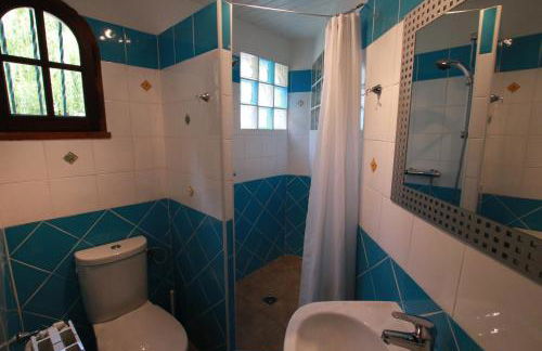 The Willow Tree - Photo 14