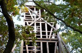 Harzer Feriengarten - Foto 53