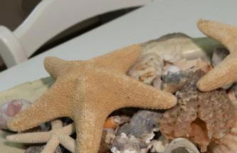 Appartamento centrale 2 camere a Termini Imerese - Marconi House - Foto 27