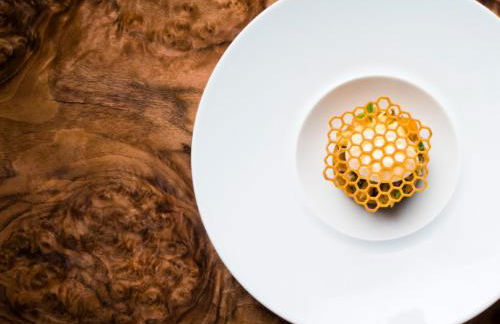 Plas Dinas Country House - Photo 51