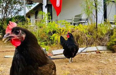 El Castellito on the Llano River - 4 Bed House - Foto 16