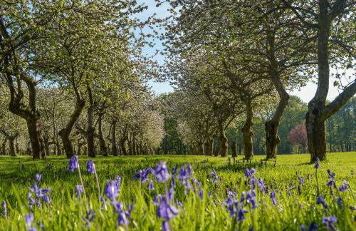 Deer Cottage 1 Uk39330 - Foto 5