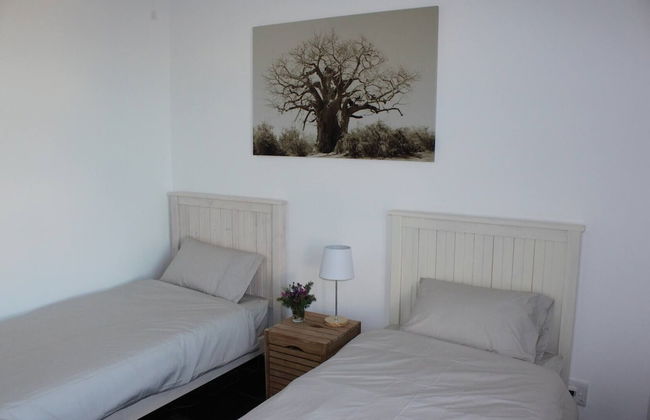 Avenue Massif 1C - Photo 4