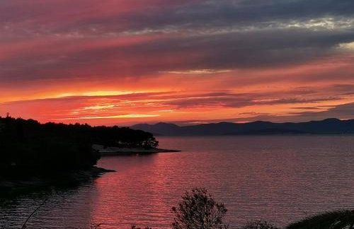 Sunset by the sea - Photo 1