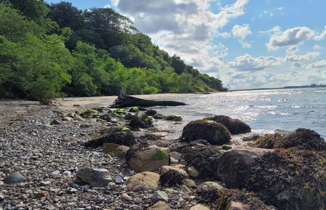 5 Person Holiday Home in Middelfart - Foto 30