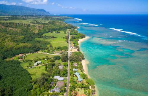 Anini Ohana Hale TVNC#4255 - Foto 17