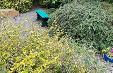 Sea View ,Cottage2 Dunnetbay accommodation - Foto 11