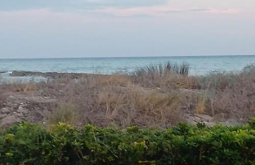 El Faro de Nules - Foto 10