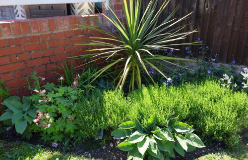 The Waverley - Foto 49