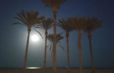 Playa Serena Zen - Foto 34