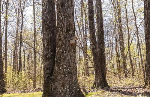 Baca Cabin Near Compton, Ponca, Buffalo River, Trails - Foto 22