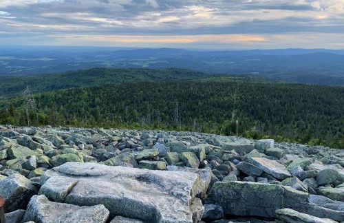 Bayerwaldnest - Foto 44