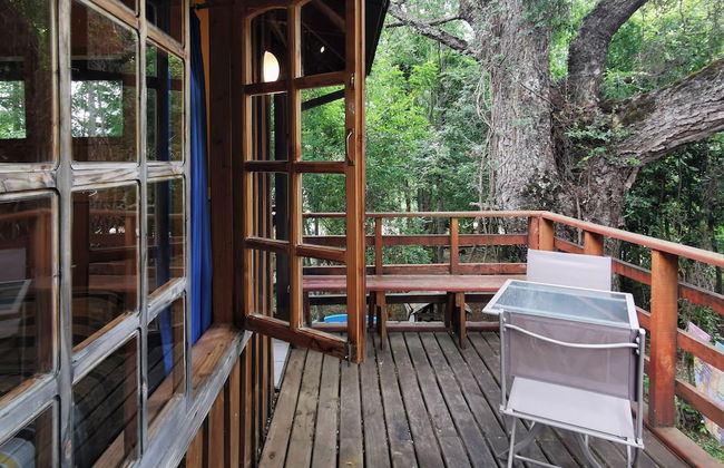 Cabaña Radal en Coñaripe Cerca del Lago Calafquén - Foto 20