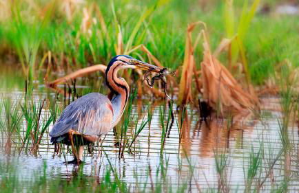 Casa dos Amigos - A luxury home in the nature - Foto 32