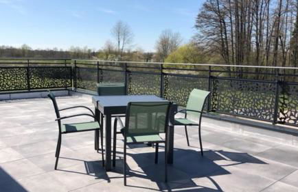 Appartement avec terrasse, proche des 1000 étangs, chapelle Le Corbusier - Foto 15