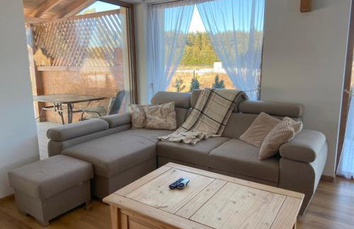 Wakacje Mazury, Willa Ametyst, cisza , ptasi śpiew , GRZYBY , RYBY - Foto 18