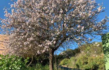 El sosiego, der Rückzugsort - Foto 53