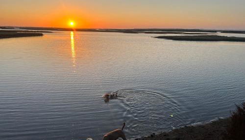 Chalet a 2 kilometros de la playa - Foto 3