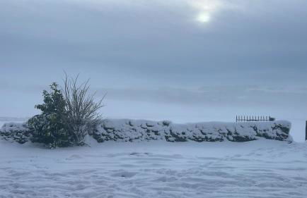 The Vogue Lodge - Photo 12