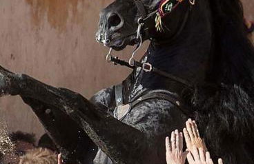 Your House in Menorca - Foto 44