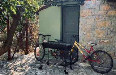 Citrus garden - Photo 38