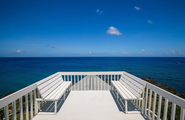 Yellow Bird - Foto 23