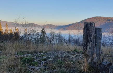 Apartamenty Marii Kawik - Foto 39